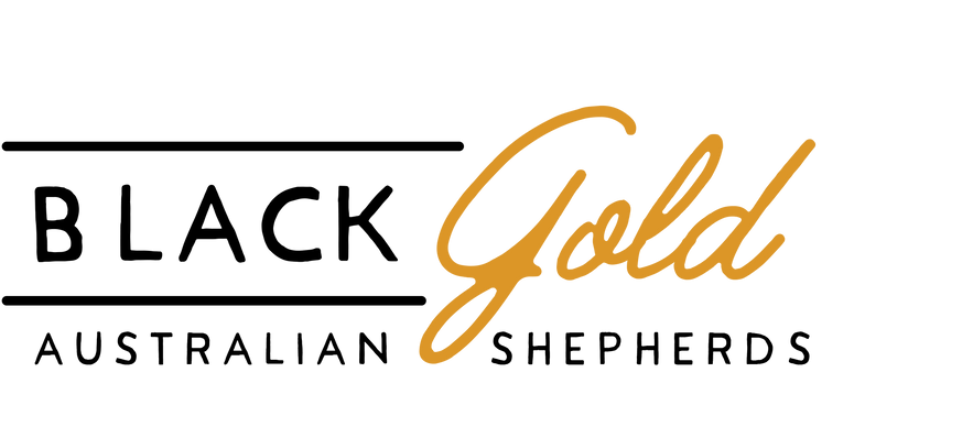 logoMain.png