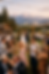 Colorado Wedding with Denver Skyline in Background.png