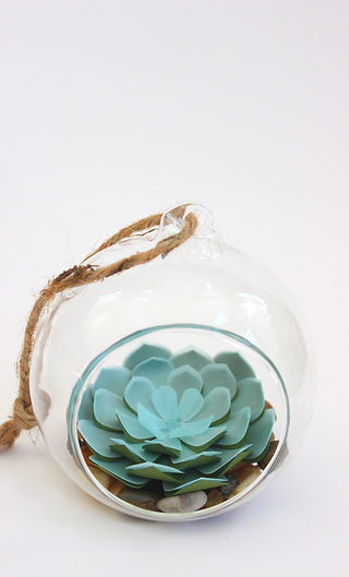 Succulent Hanging Terrarium