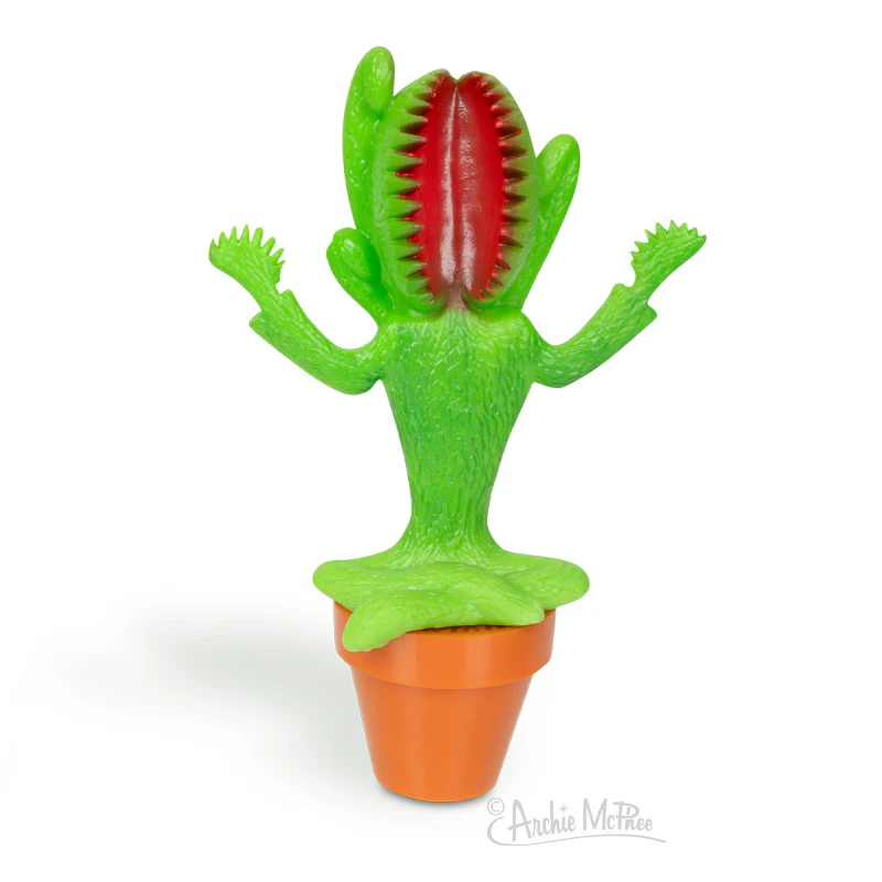 Meditating Venus Fly Trap
