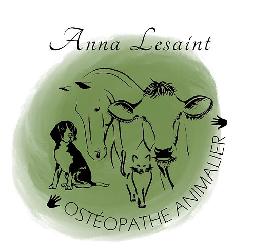 Ostéopathe animalier, Normandie, Dieppe, Rouen, Grand Quevilly, chiens, chats, chevaux, vahces, douleur, tensions, gêne, boiterie, irrégularité, Somme 80