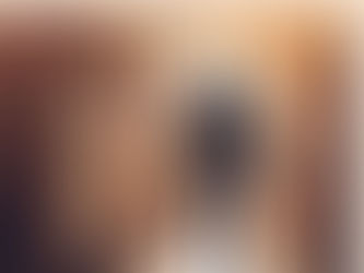 Intruder detected Bayberry Court