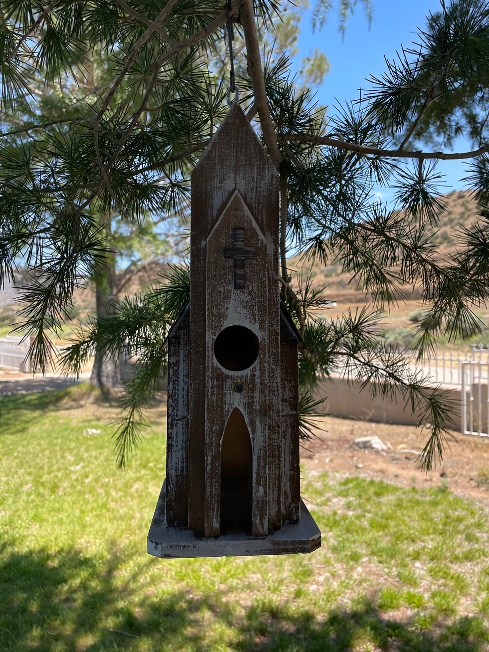 Thumbnail: Church Birdhouse
