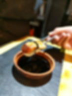 NIGIRI DE UNAGI (ANGUILA MARINADA)