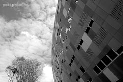PAT_1467 mono small.JPG