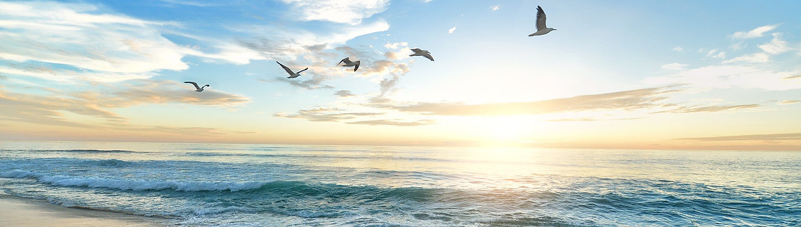 Beach photo.jpg