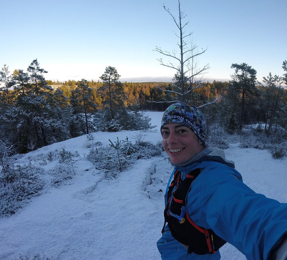 celebrating Finland's independence day in the best way i know