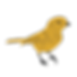 oiseaunet_Plan de travail 1.png