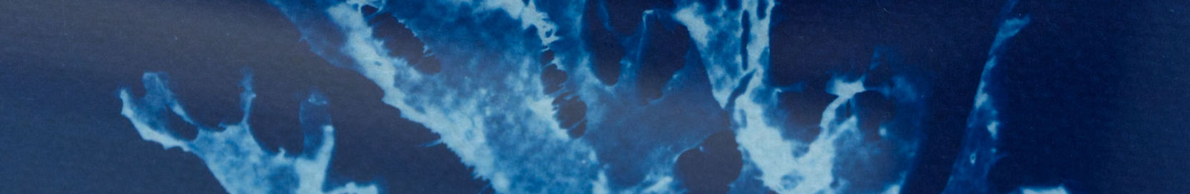 cyanotype-8-artbotanique-decoration-faitmain-loiseaudavril.jpg
