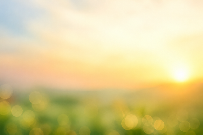 4139C148-E010-465F-9FF8-50A47CE4F5AE.PNG