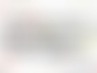 TinyFox MACOCOシリーズ商品発売延期についてのお詫びとお知らせ