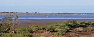 L’Empire des îles