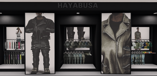 HAYABUSA