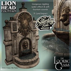 The Looking Glass