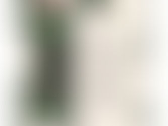 DAHLIA – 12 DAYS OF DAHLIA