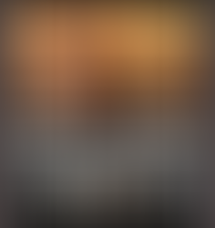 SAC. SSOC ARMAMENT CO.