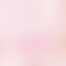💗Vanilla Bae - Warehouse Sale💗