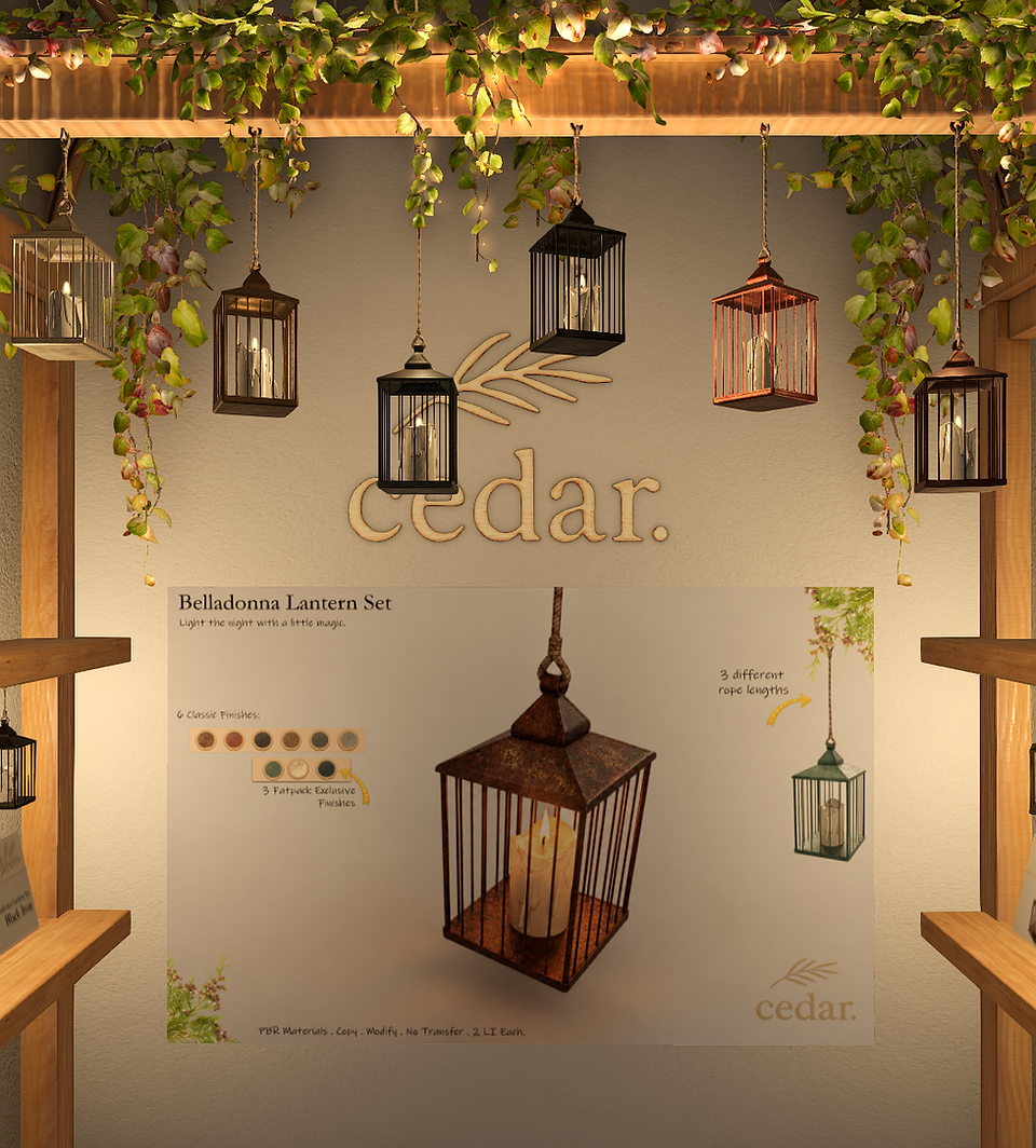 CEDAR
