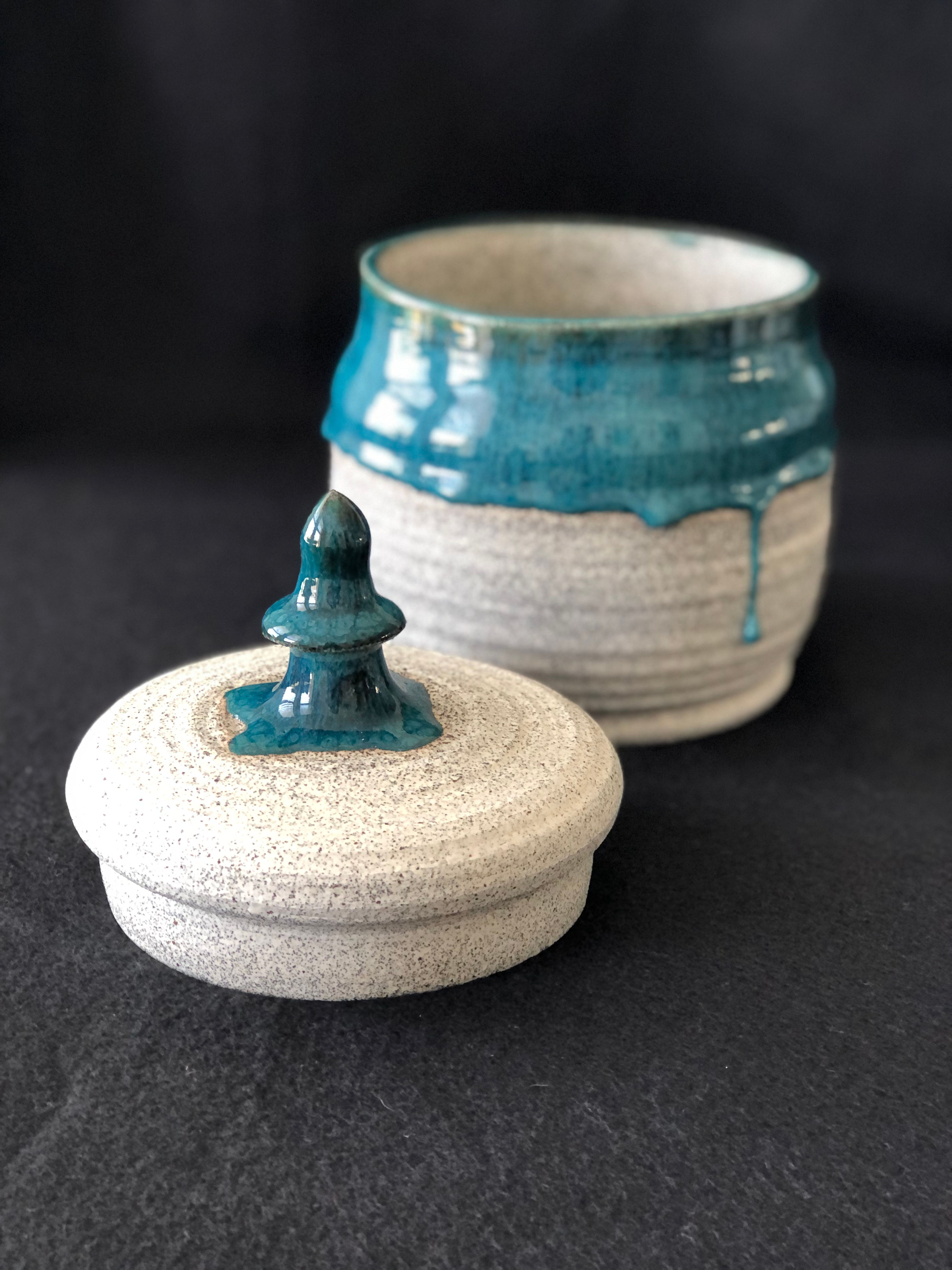 Dragonfruit Canister