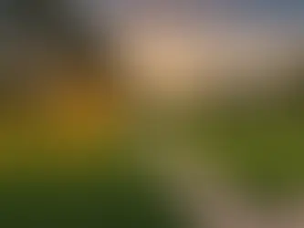 Uncovering the Best: Exploring San Antonio's Top 10 Suburbs