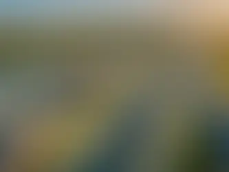 Uncovering the Current Trends: A Closer Look at the Texas Real Estate Market