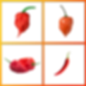 4-Peppers-1024x1024.png