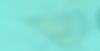Teal-cropped-Ghosted-Background-DetoxFacial-TealTigerAesthetics-wide_edited.jpg