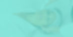 Teal-cropped-Ghosted-Background-DetoxFacial-TealTigerAesthetics-wide_edited.jpg