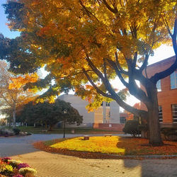 University of Bridgeport