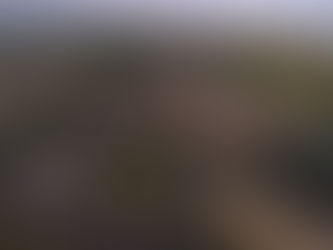 Saint Mary’s College: A Promise of Discovery