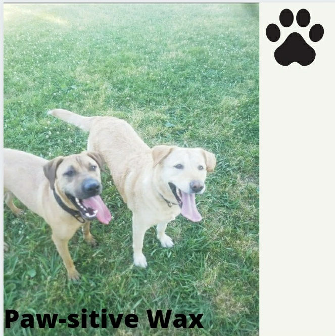 Paw-sitive Wax