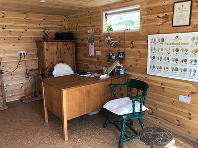 Green Balance Vet Interior