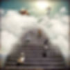 Dogs going to heaven