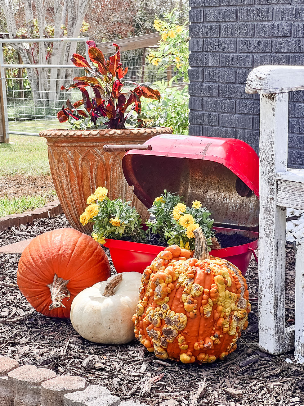 Thumbnail: Red Mini Grill Planter