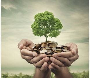 sustainable investing.jpg