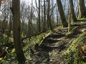 Natures unmistakable call