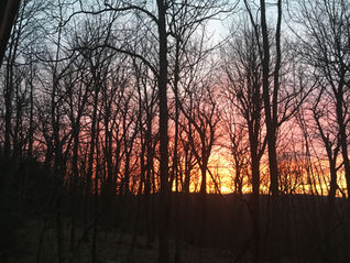 Touch the Earth Lightly