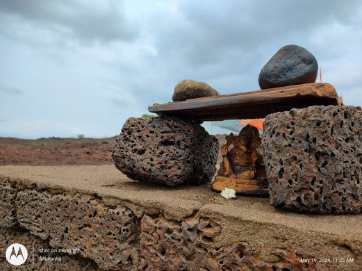 Still Life Anita Noronha