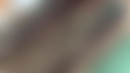 Getting Organised - Prancing Peacock