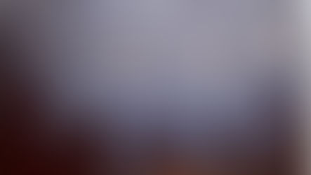 Spring Shawl KAL The Borders