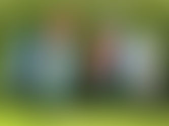 WHAT CAN FEATHER FLAGS BE USED FOR?