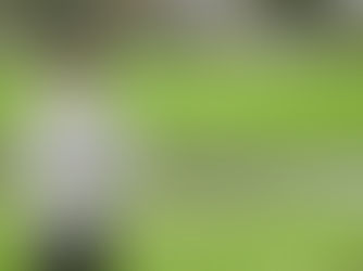 「地方就活」の準備をするのならば抑えておきたい4つのこと