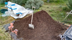 IMG_20160325_132006997_HDR