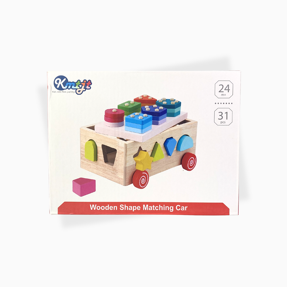 Holz Steckspiel Auto Motorikspielzeug 31 Teile ab 24 Monate Verpackung