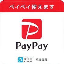 paypay (2).jpeg