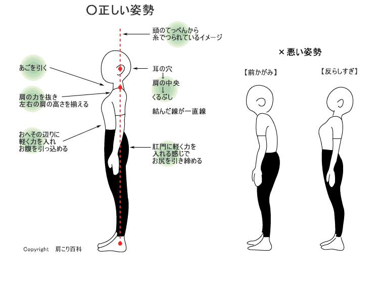 正しい姿勢.gif
