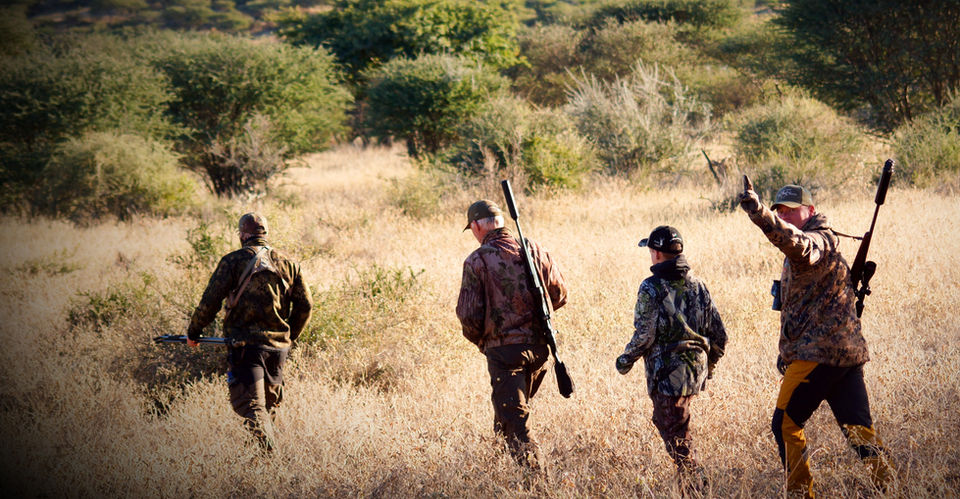 Walk and Stalk in the early morning