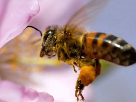 Frühlingserwachen…🌷🌷🌷🌷