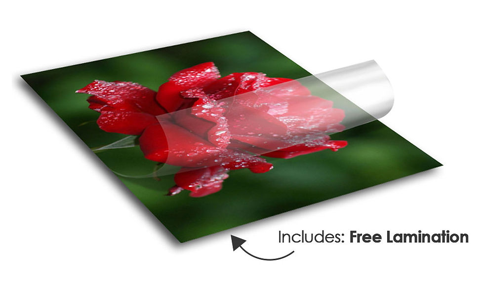 Thumbnail: Floor Graphics