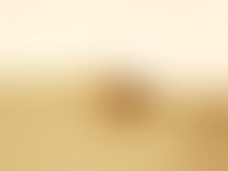 Get Rids of Lizards Naturally With Our Lizard Repellents...